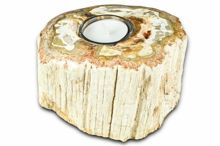 Polished Petrified Wood Candle Holder - Madagascar #378678